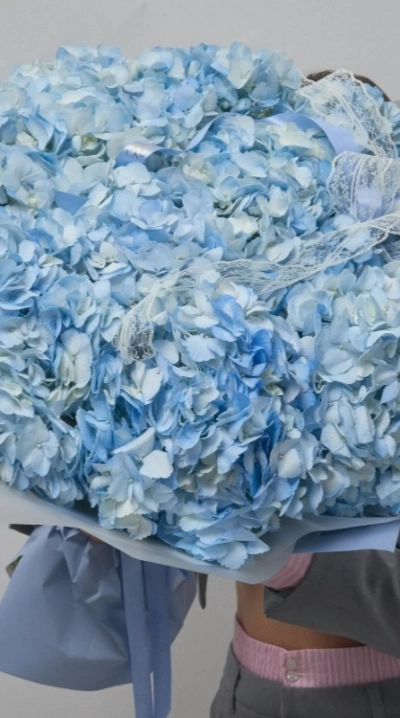 Облако из голубых гортензий (11 шт)