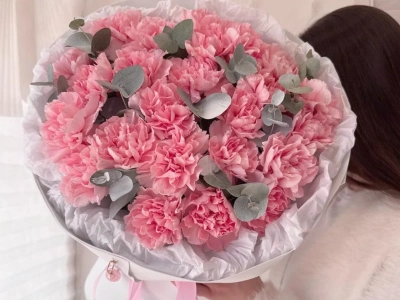 Букет из розовых диантусов и эвкалипта (21 шт)