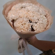 Кремовые диантусы (7 шт)