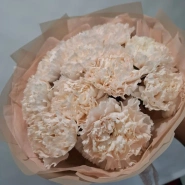 Кремовые диантусы (7 шт)